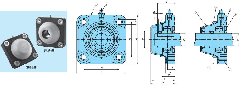 1536145386218085.jpg 15.jpg