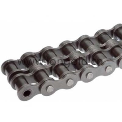 SP系列高強(qiáng)度短節(jié)距雙排滾子鏈條 SP系列高強(qiáng)度短節(jié)距雙排滾子鏈條